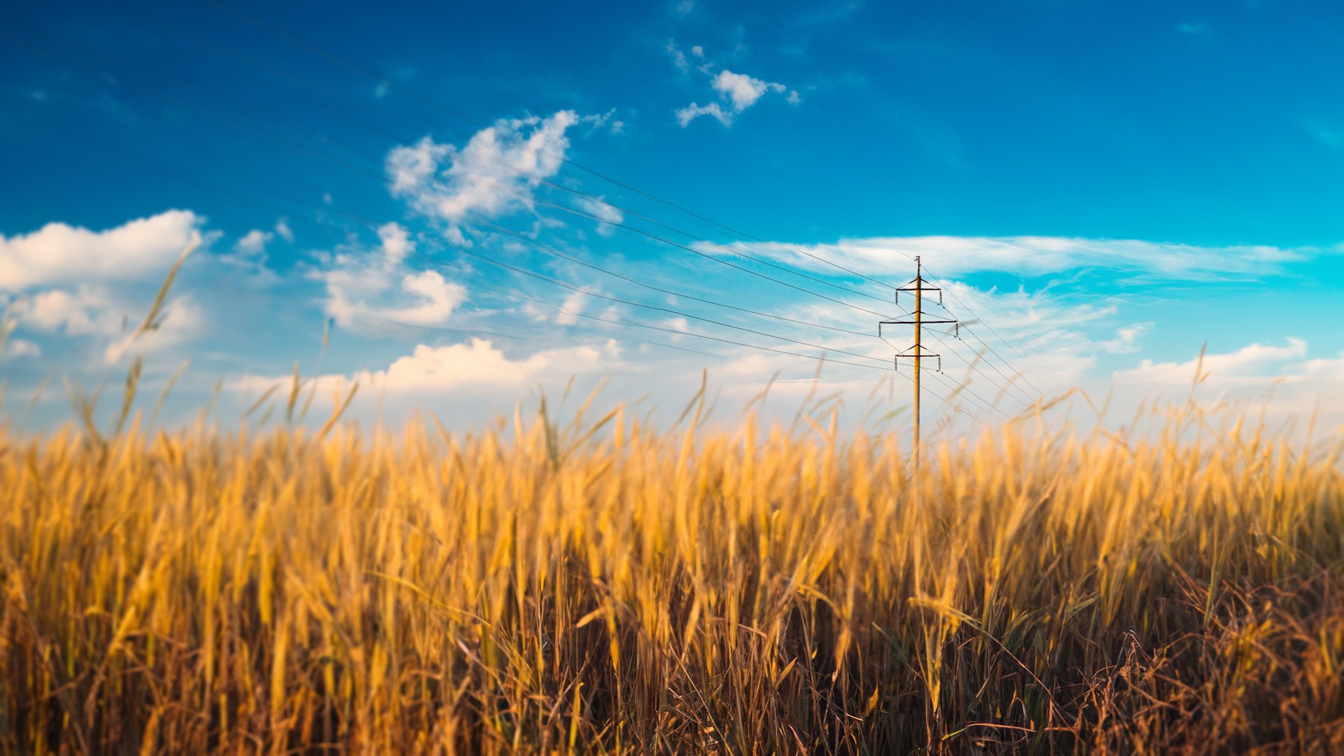 Electrical Inspection