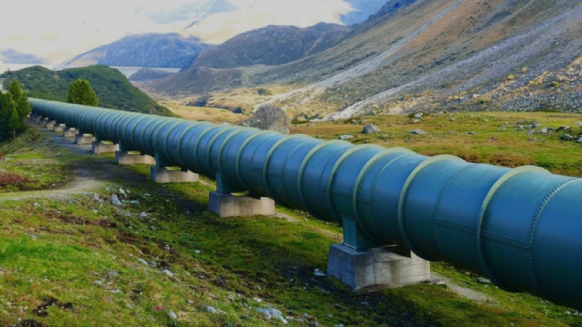 Third-Party Inspection